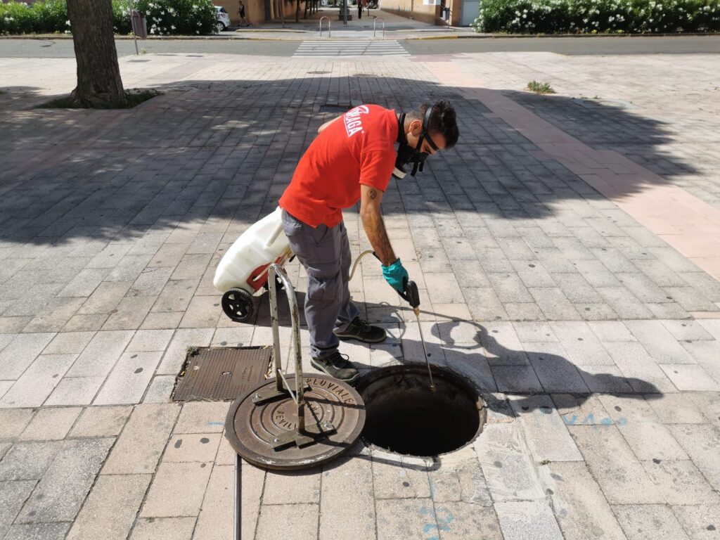 servicio de control de plagas