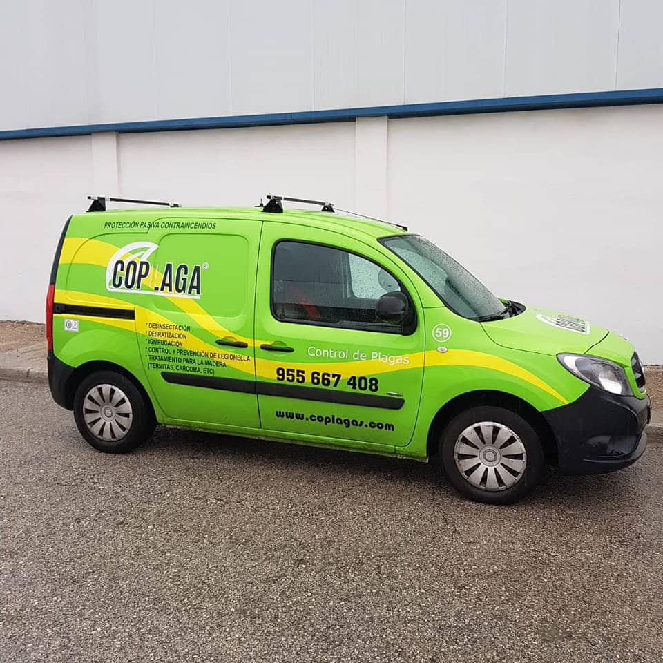 desinfección de plagas