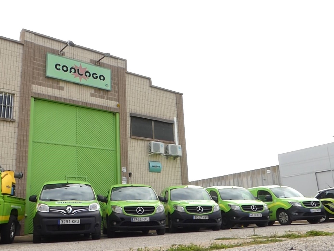 empresa de control de plagas